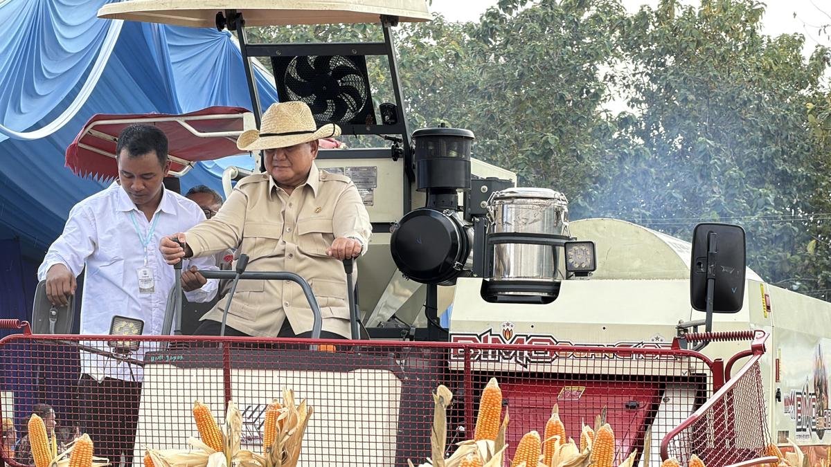 Momen Prabowo Nyetir Traktor Saat Panen Jagung di Tuban