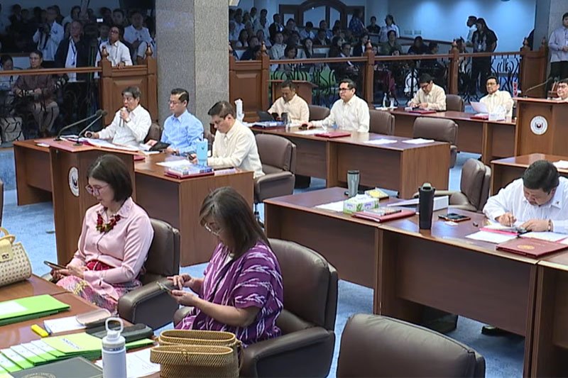 'Force majeure' menjadi fokus saat Senat mempertimbangkan proposal partisipasi jarak jauh