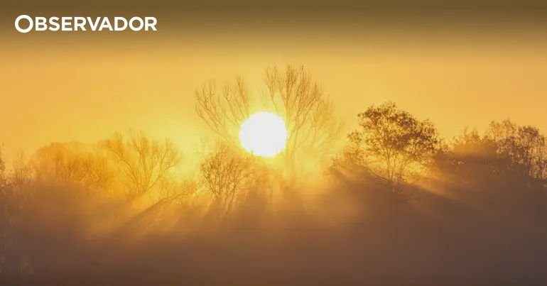 Mora memecahkan rekor bulan Mei dengan 40,3ºC – Observador