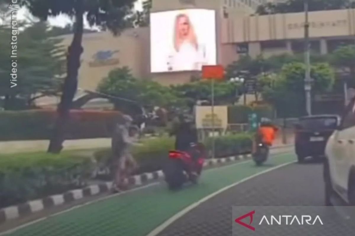 Governor: Punish HI Roundabout snatch thief as heavily as possible