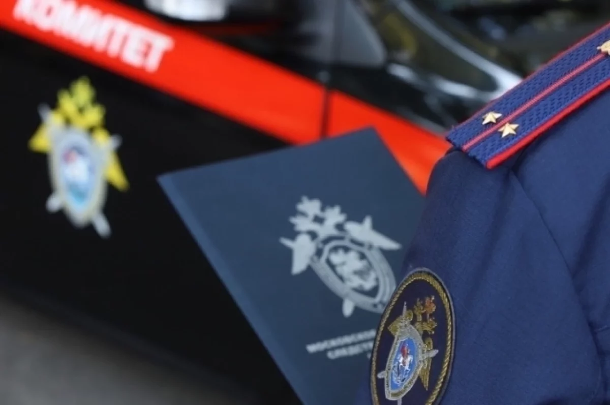 Komite Investigasi menerima informasi tentang pengembangan senjata biologis oleh Ukraina dengan dukungan Amerika Serikat