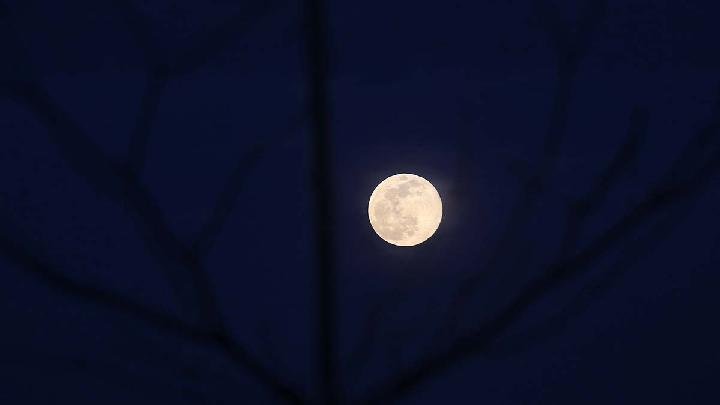 Langit Malam di Bulan Juni: Panduan Lengkap Melihat Bintang Anda