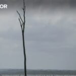 Penjelasan. Segala sesuatu yang perlu Anda ketahui tentang El Niño – Observador