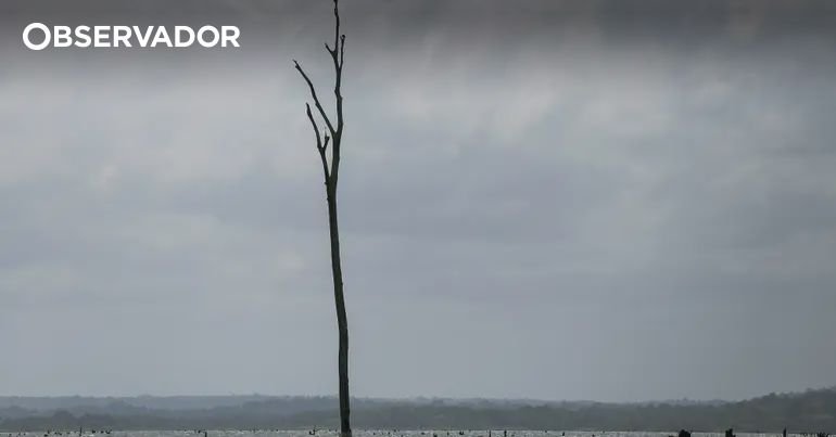 Penjelasan. Segala sesuatu yang perlu Anda ketahui tentang El Niño – Observador