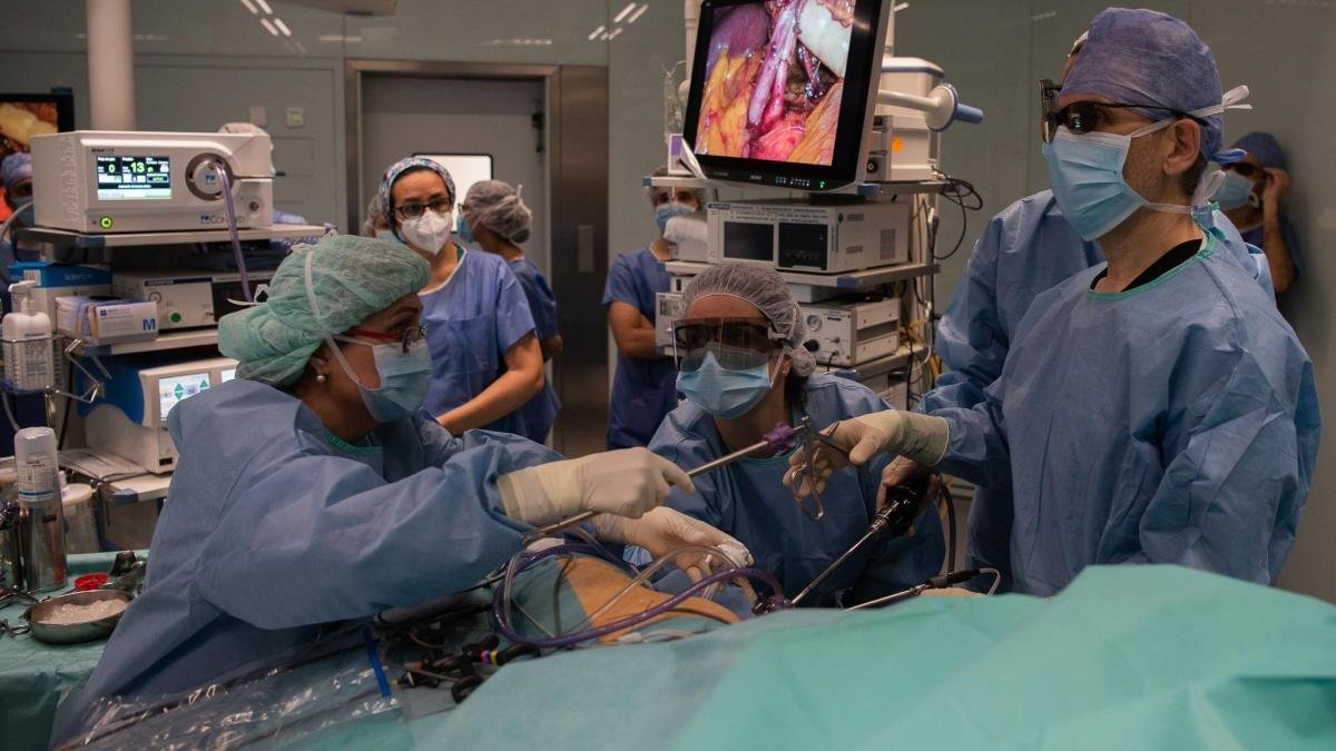Lebih dari 1.300 orang berada dalam daftar tunggu untuk menerima organ di Catalonia