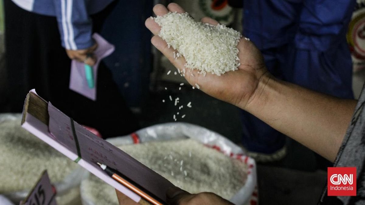 Beras Dorong Inflasi, Harga Naik di Penggilingan dan Eceran