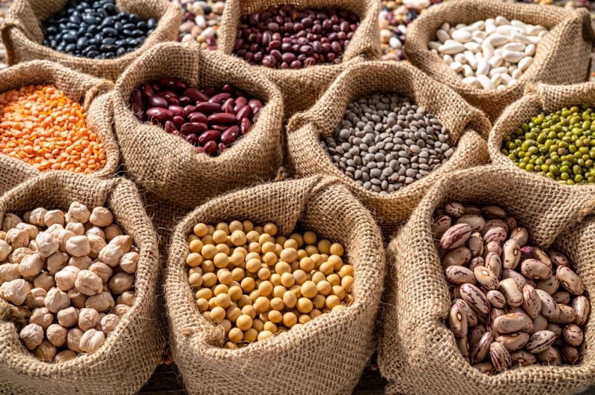 Бобовые — доступный и ценный продукт, который может стать важной частью здорового рациона.