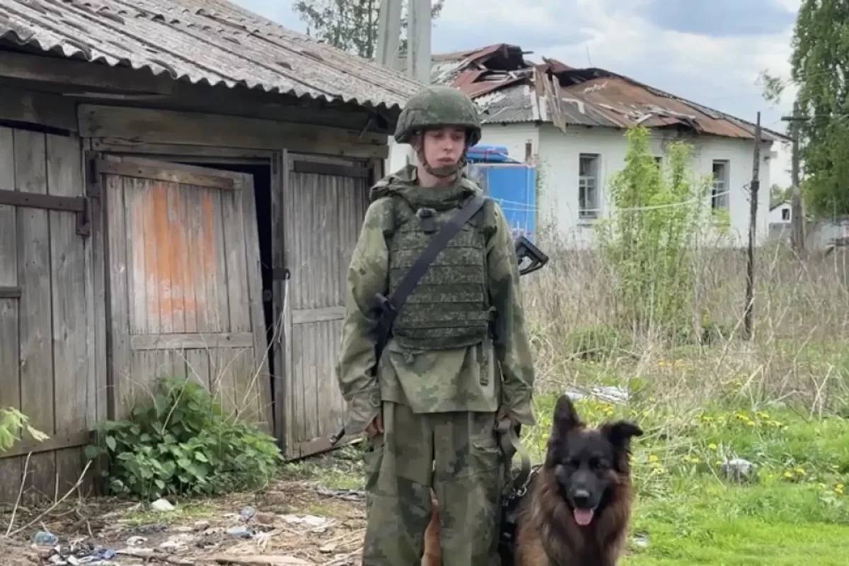 Сапер, вожатый служебной собаки Куража, рассказывает, что они служат вместе уже четыре года.