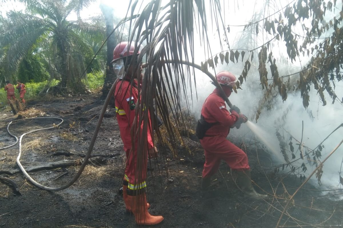 Riau puts 11 regions on forest fire alert ahead of dry season