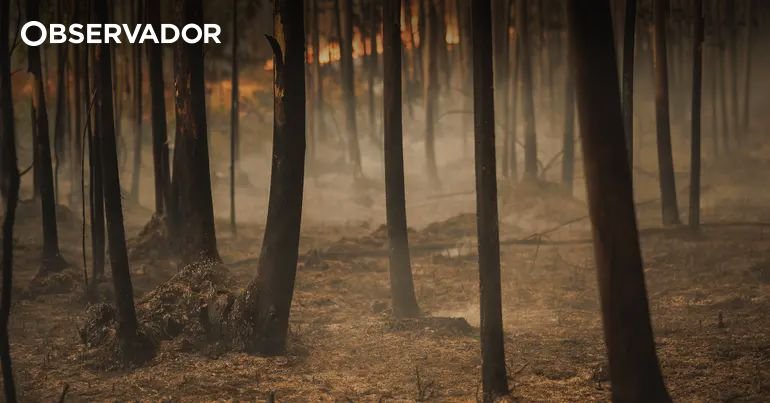 حريق في سابوغال بجبهتين إحداهما لغواردا – المراقب