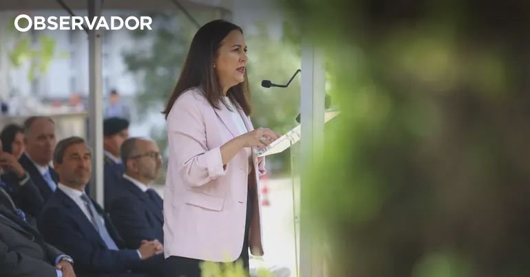 "لويس نيفيز يدير العملية بأفضل طريقة يعرفها" - المراقب