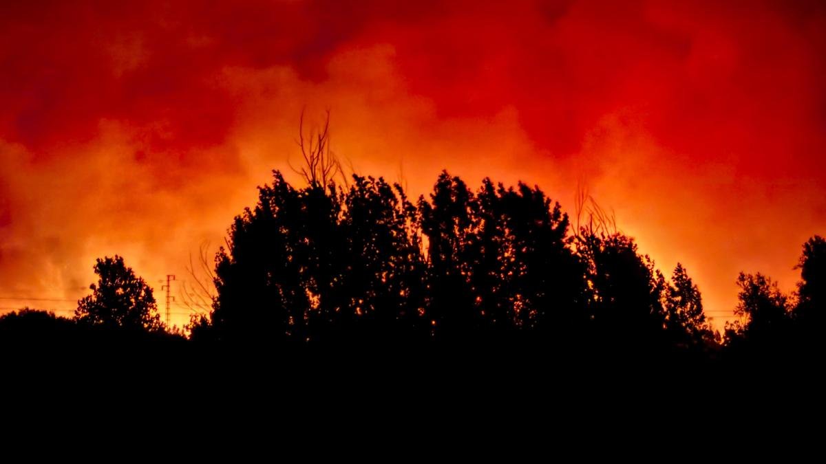 حريق لوس غالاردوس، من بين أخطر الحرائق التي وقعت في إسبانيا